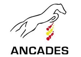 LG ANCADES